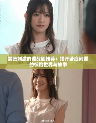 紧张刺激的谍战剧推荐：揭开卧底间谍的惊险世界与故事