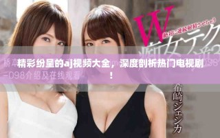 精彩纷呈的aj视频大全，深度剖析热门电视剧！