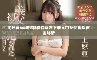 向日葵远程控制软件官方下载入口及使用指南全解析