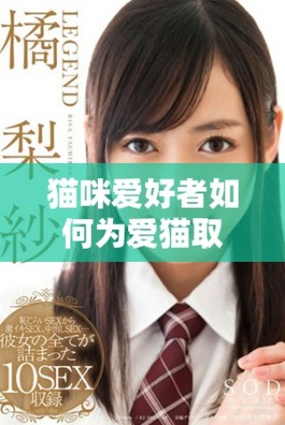 猫咪爱好者如何为爱猫取个富有地域特色的名字