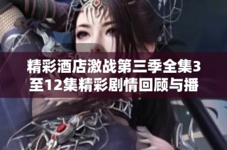 精彩酒店激战第三季全集3至12集精彩剧情回顾与播放指南