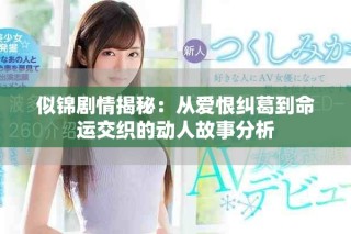 似锦剧情揭秘：从爱恨纠葛到命运交织的动人故事分析