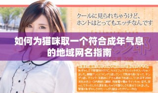 如何为猫咪取一个符合成年气息的地域网名指南