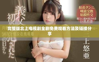 完整版北上电视剧全剧免费观看方法及链接分享