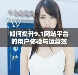 如何提升9.1网站平台的用户体验与运营效率探讨