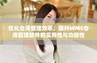优化仓库管理效率，提升WMS仓库管理软件的实用性与功能性