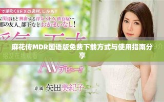 麻花传MDR国语版免费下载方式与使用指南分享
