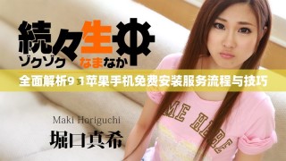 全面解析9 1苹果手机免费安装服务流程与技巧