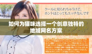 如何为猫咪选择一个创意独特的地域网名方案