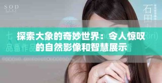 探索大象的奇妙世界：令人惊叹的自然影像和智慧展示