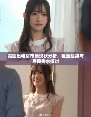美国出租房市场现状分析，租赁趋势与居民需求探讨