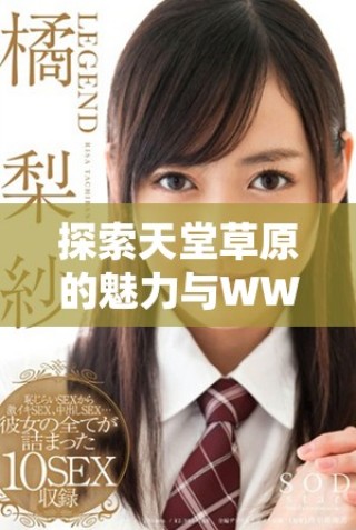 探索天堂草原的魅力与WWE美国大片的动人旋律