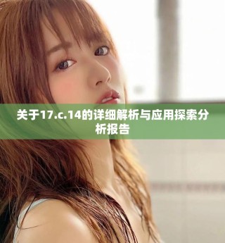 关于17.c.14的详细解析与应用探索分析报告