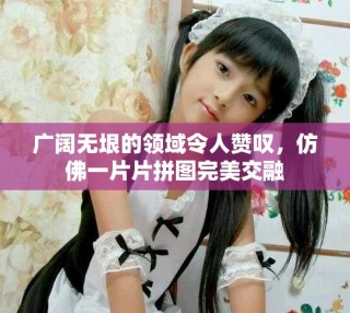 广阔无垠的领域令人赞叹，仿佛一片片拼图完美交融