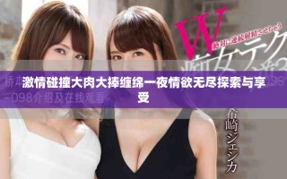 激情碰撞大肉大捧缠绵一夜情欲无尽探索与享受
