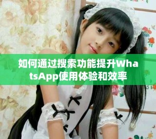 如何通过搜索功能提升WhatsApp使用体验和效率