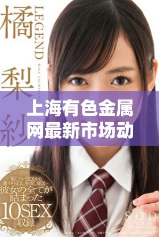 上海有色金属网最新市场动态与行业分析一览