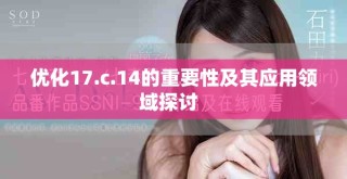 优化17.c.14的重要性及其应用领域探讨  
