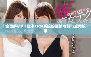 全面解析9.1版本CRM系统的最新功能与应用效果