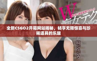 全新CSGO2开箱网站揭秘，畅享无限惊喜与珍稀道具的乐趣