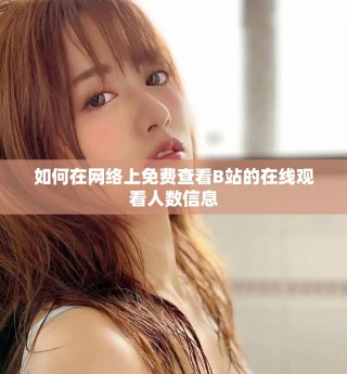 如何在网络上免费查看B站的在线观看人数信息