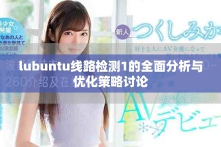 lubuntu线路检测1的全面分析与优化策略讨论