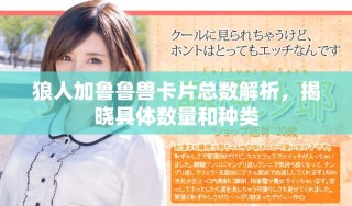 狼人加鲁鲁兽卡片总数解析，揭晓具体数量和种类
