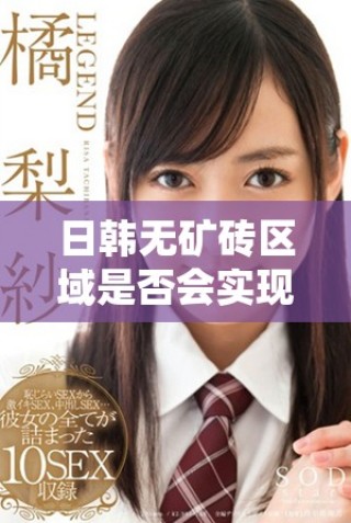 日韩无矿砖区域是否会实现转变与发展潜力分析