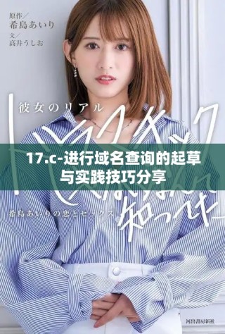 17.c-进行域名查询的起草与实践技巧分享