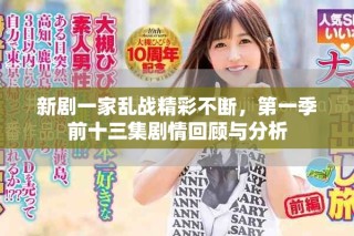 新剧一家乱战精彩不断，第一季前十三集剧情回顾与分析