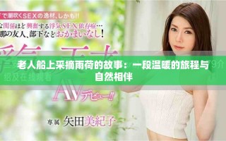 老人船上采摘雨荷的故事：一段温暖的旅程与自然相伴