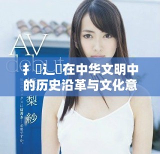 扌喿辶畐在中华文明中的历史沿革与文化意义探讨