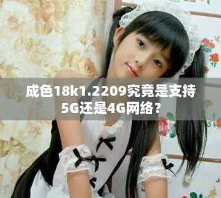 成色18k1.2209究竟是支持5G还是4G网络？