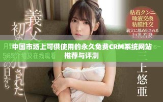 中国市场上可供使用的永久免费CRM系统网站推荐与评测