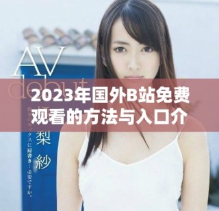2023年国外B站免费观看的方法与入口介绍