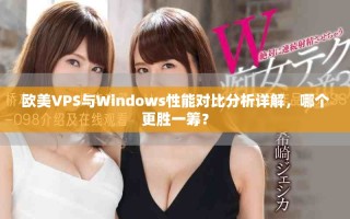欧美VPS与Windows性能对比分析详解，哪个更胜一筹？