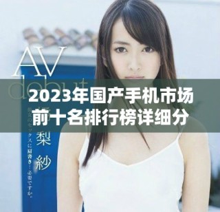 2023年国产手机市场前十名排行榜详细分析与推荐分享