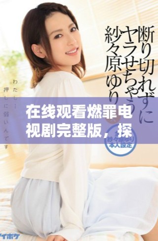 在线观看燃罪电视剧完整版，探秘剧情背后的悬疑与惊悚元素