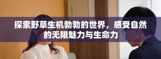 探索野草生机勃勃的世界，感受自然的无限魅力与生命力