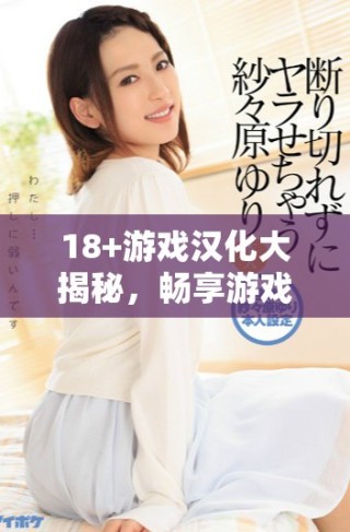 18+游戏汉化大揭秘，畅享游戏乐趣无极限