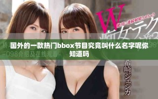 国外的一款热门bbox节目究竟叫什么名字呢你知道吗
