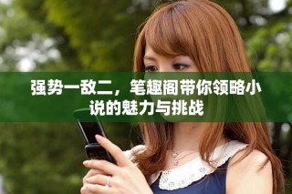 强势一敌二，笔趣阁带你领略小说的魅力与挑战