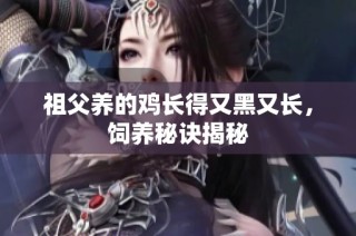 祖父养的鸡长得又黑又长，饲养秘诀揭秘