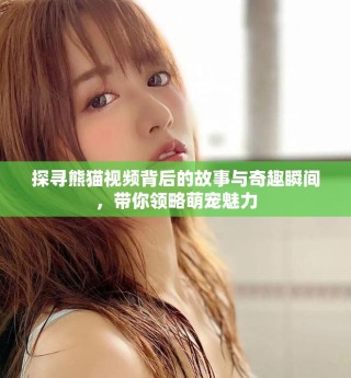 探寻熊猫视频背后的故事与奇趣瞬间，带你领略萌宠魅力
