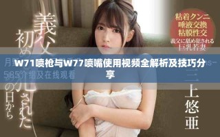 W71喷枪与W77喷嘴使用视频全解析及技巧分享