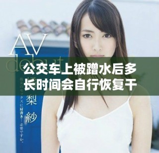 公交车上被蹭水后多长时间会自行恢复干燥状态