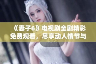 《妻子6》电视剧全剧精彩免费观看，尽享动人情节与感人故事