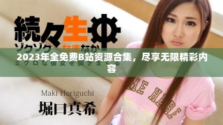 2023年全免费B站资源合集，尽享无限精彩内容