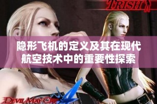 隐形飞机的定义及其在现代航空技术中的重要性探索