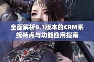 全面解析9.1版本的CRM系统特点与功能应用指南